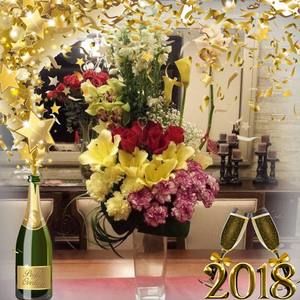 Meet your Posher, Hong duc